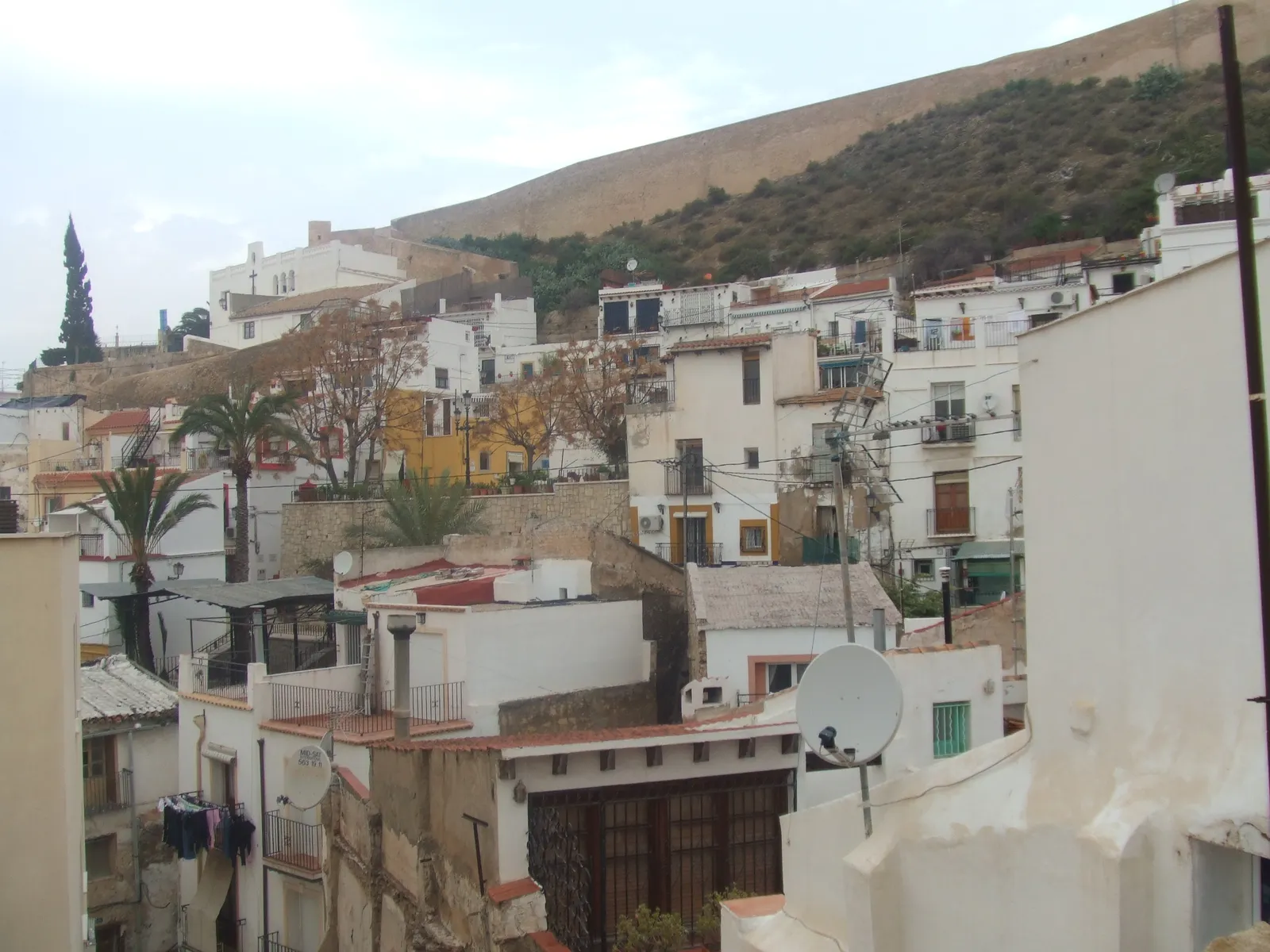 Houses in the Santa Cruz quarter