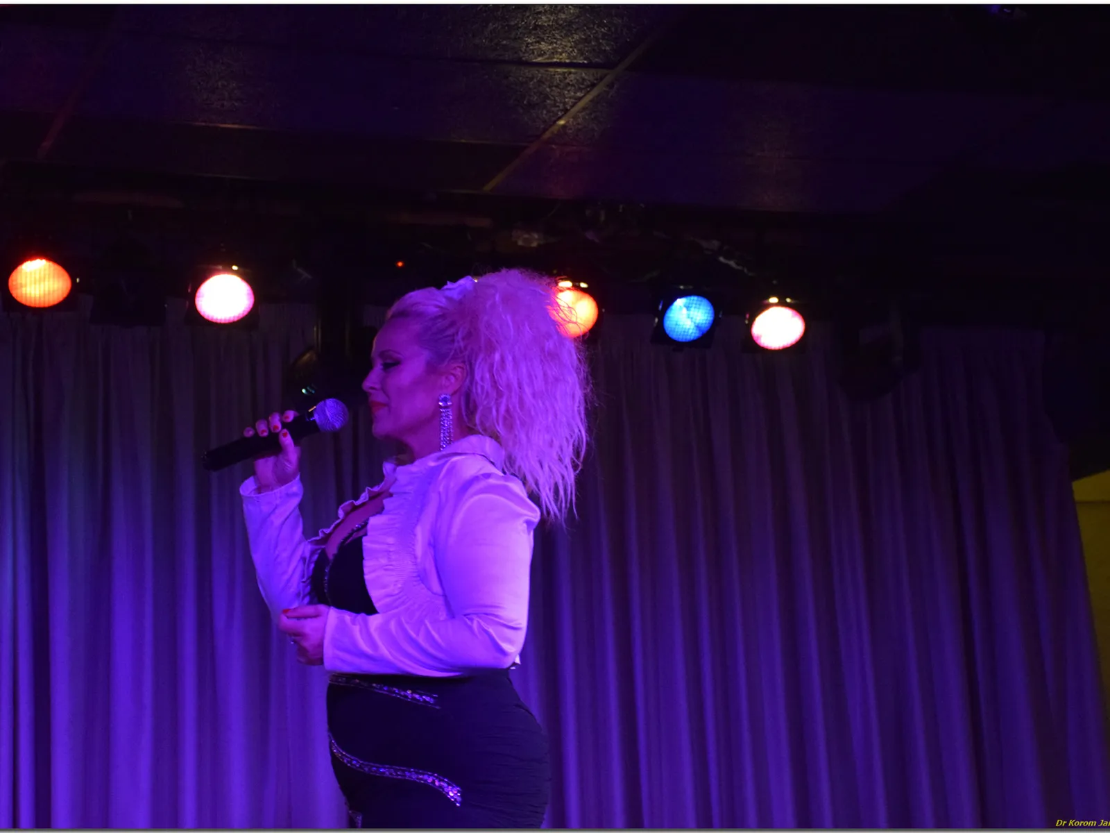 Flamenco singer performing on stage