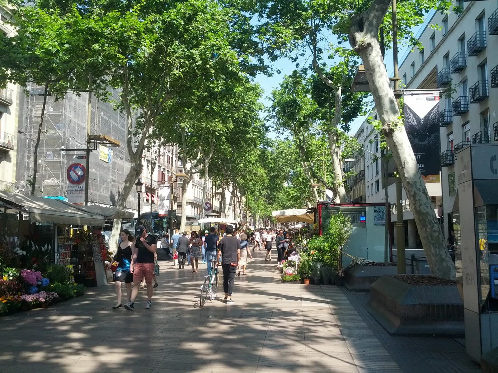 Barcelona's La Rambla with pedestrians at dusk