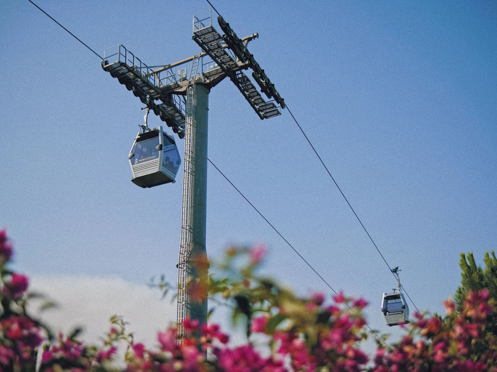 Montjuïc cable car cabins among flowers