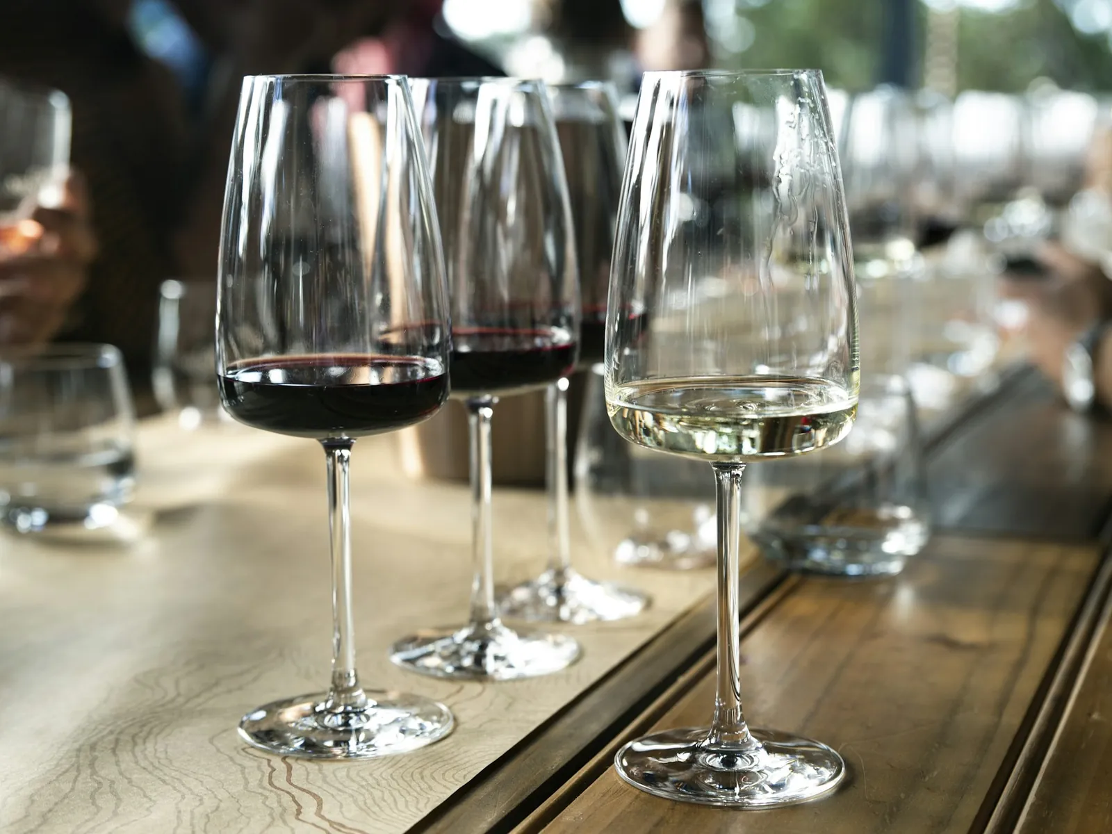 Glasses of red and white wine set out for a tasting