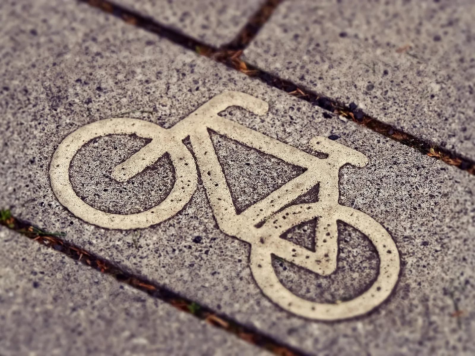 Bike lane symbol painted on the pavement