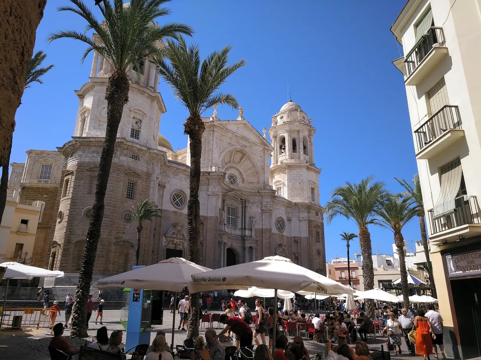 Cathedral Square in Cádiz with palm trees and café terraces
