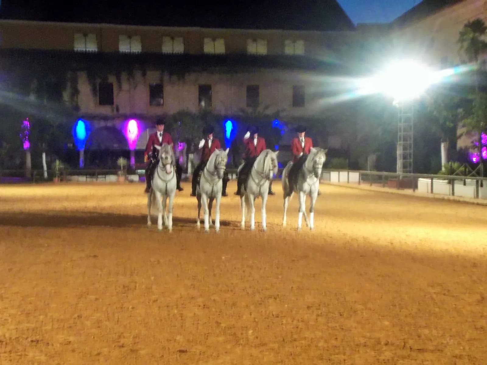 Riders on grey horses in the Caballerizas Reales arena during the night show