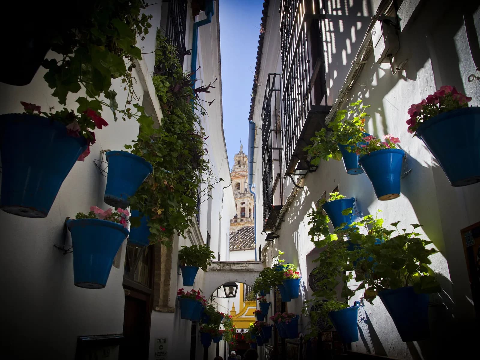 Calleja de las Flores con macetas azules