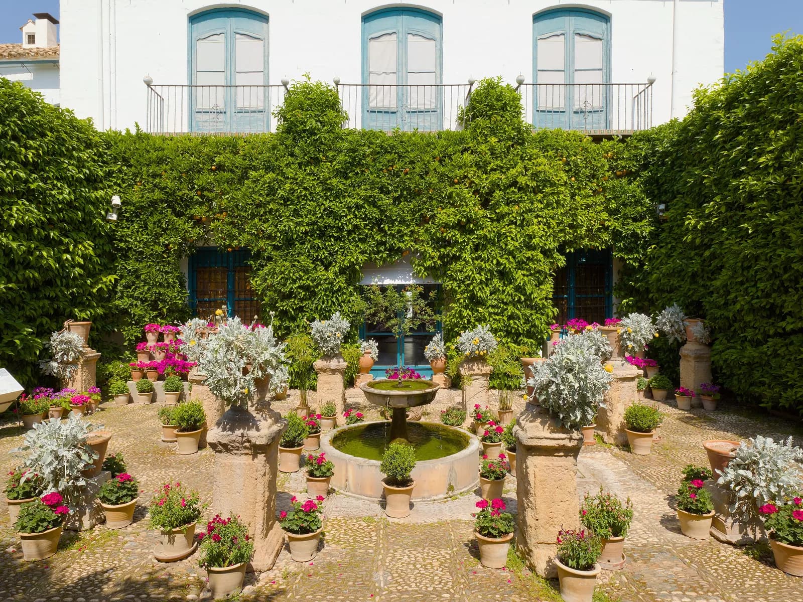 Patio con macetas del Palacio de Viana