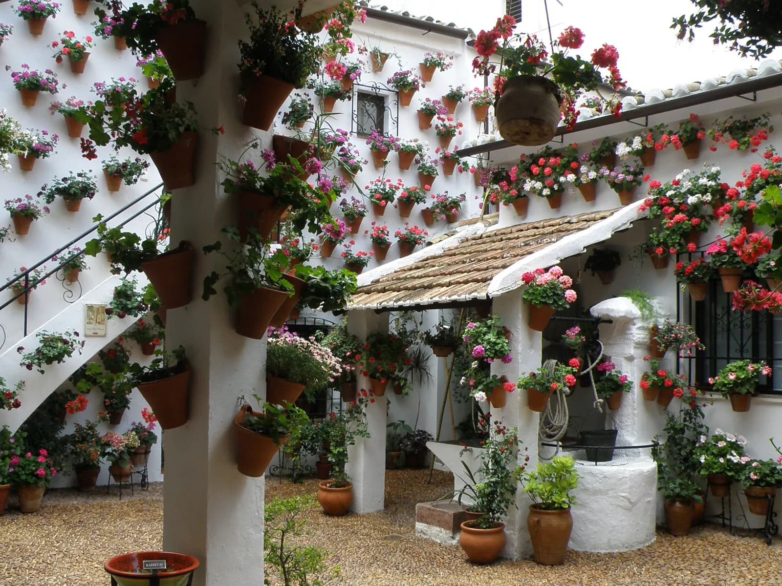 Patio cordobés con paredes llenas de macetas