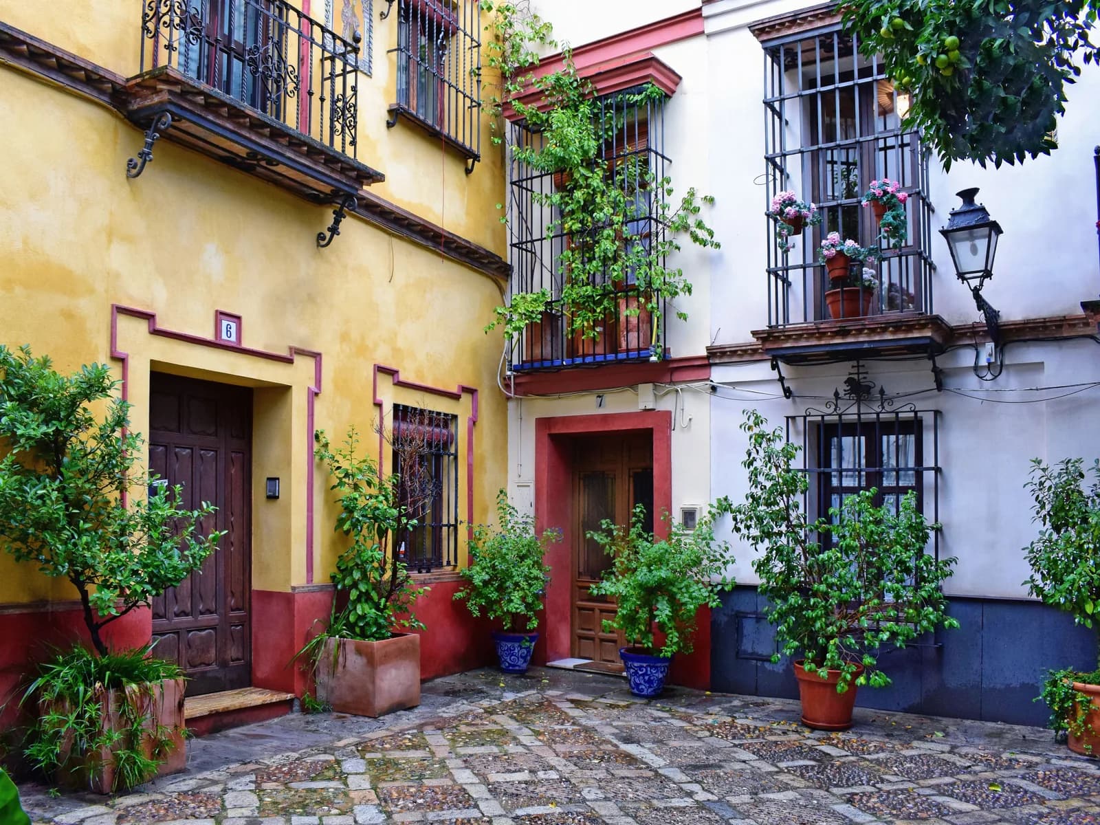 Córdoba patio with flower pots
