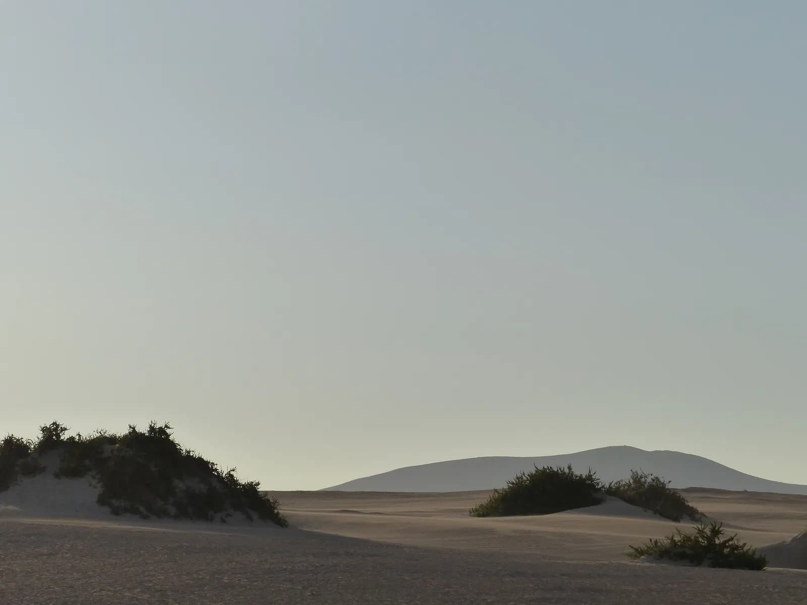 Horizonte de las Dunas de Corralejo