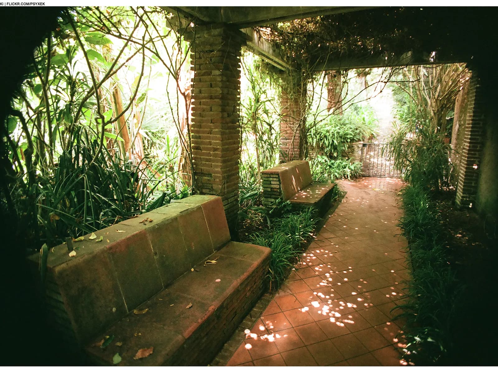 Pergola with benches and greenery in the Marimurtra Botanical Garden