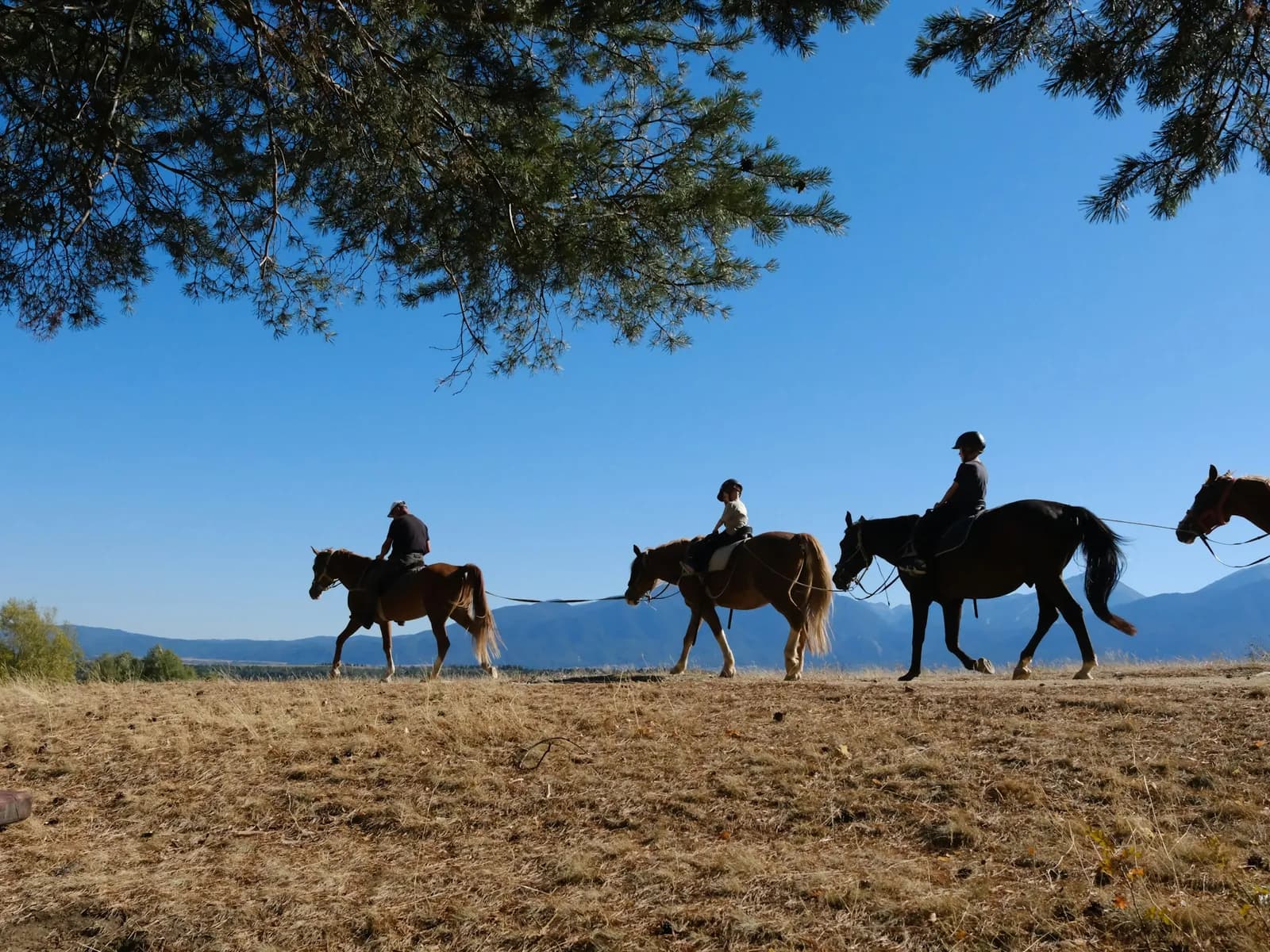 Grupo de jinetes a caballo por un campo seco con montañas al fondo