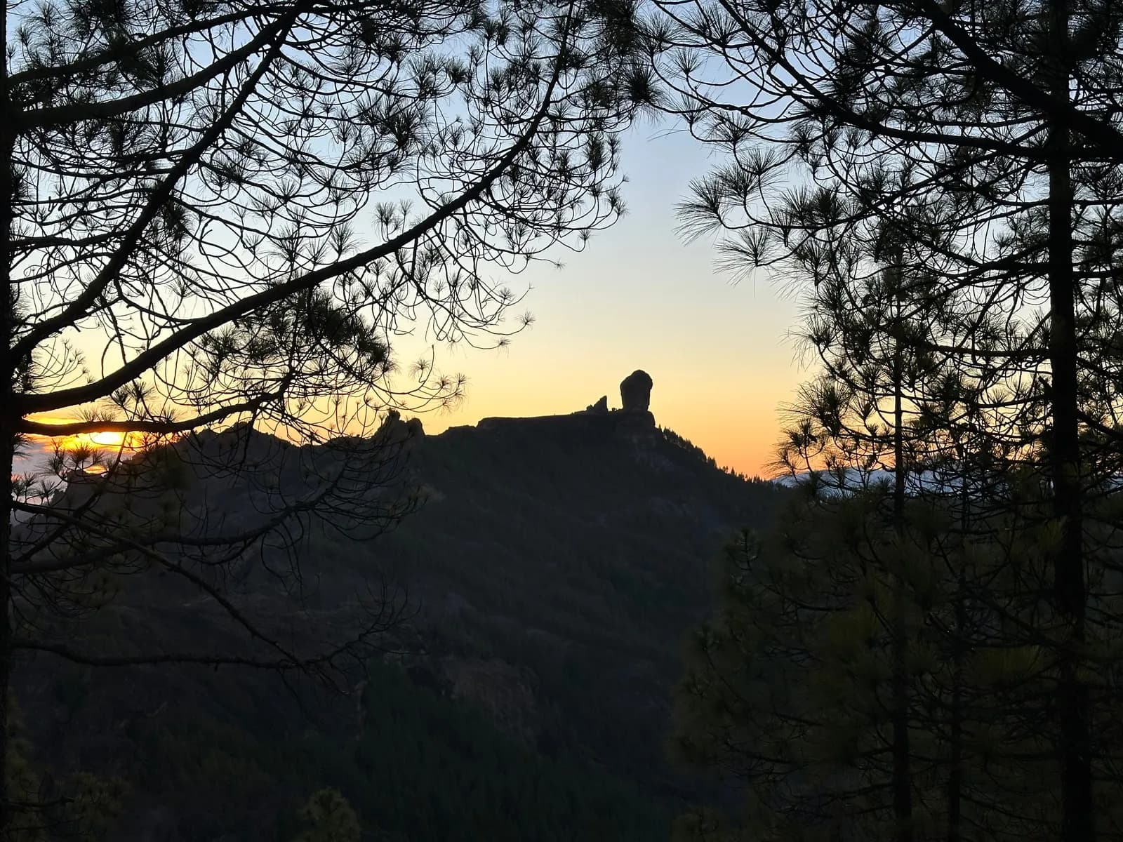 Atardecer tras el Roque Nublo enmarcado por pinos