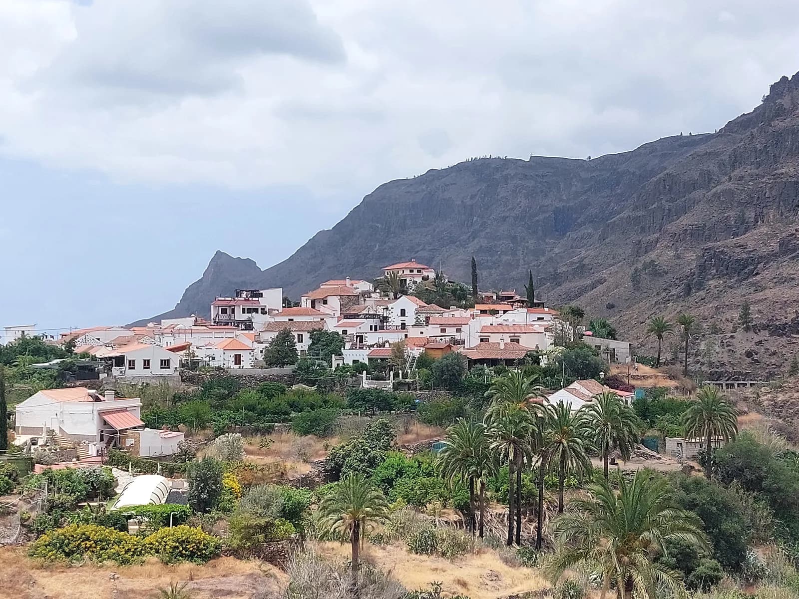 Fataga y su palmeral, en el valle de las Mil Palmeras