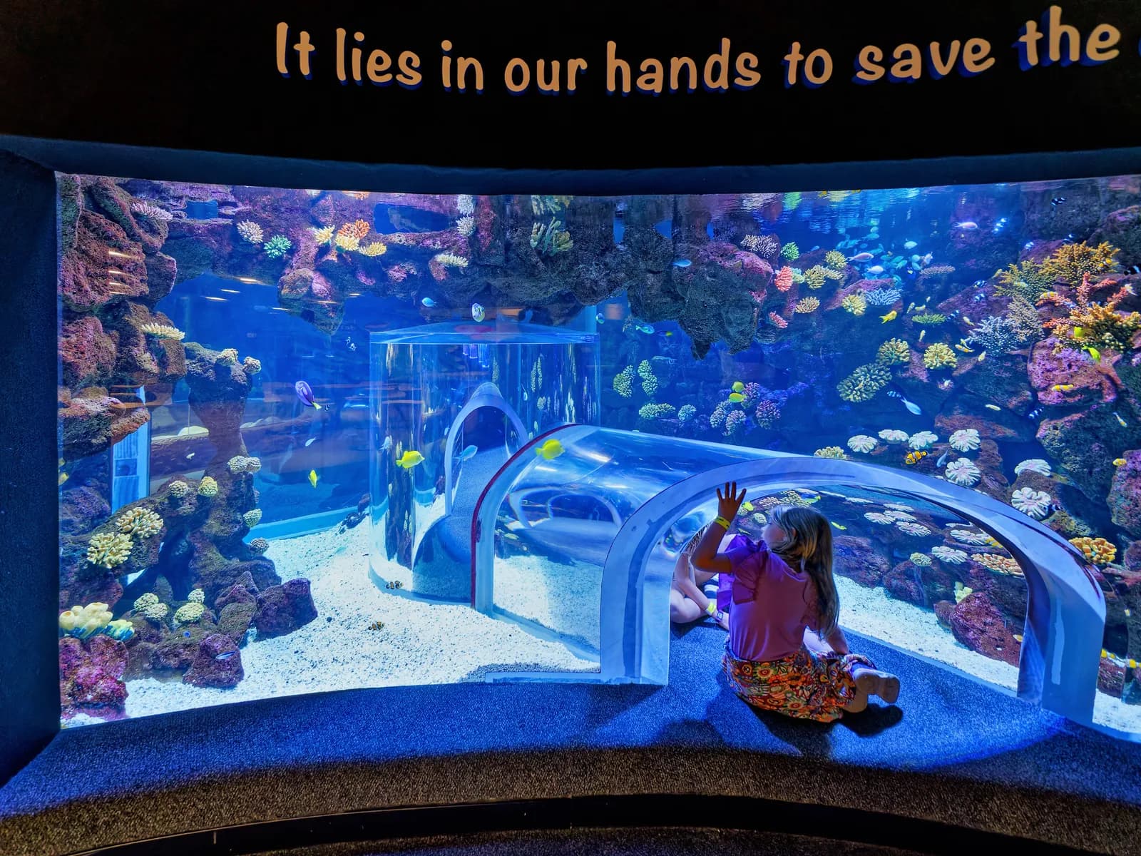 La gran ventana curva del acuario Poema del Mar