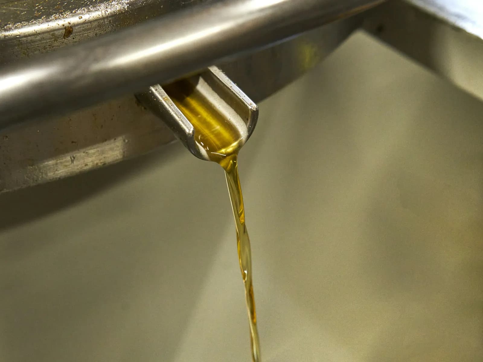 Aceite de oliva recién extraído cayendo de un caño metálico en la almazara