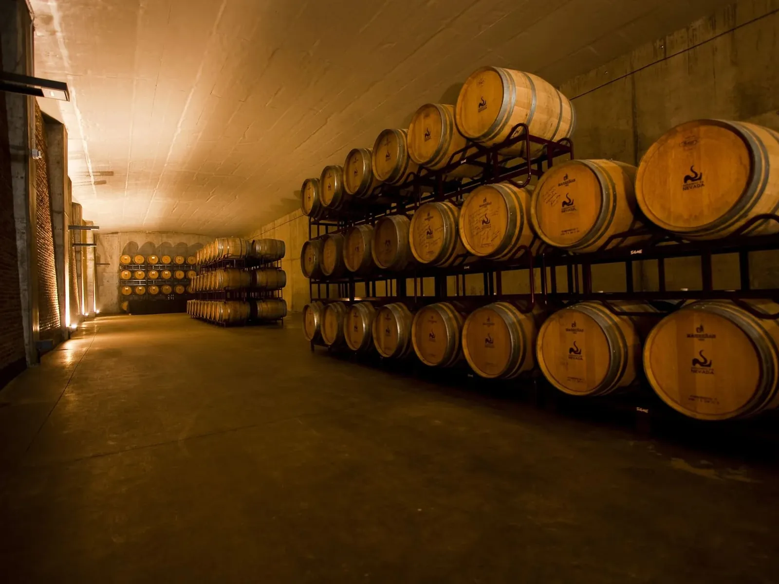 Barricas en la nave de crianza de la bodega
