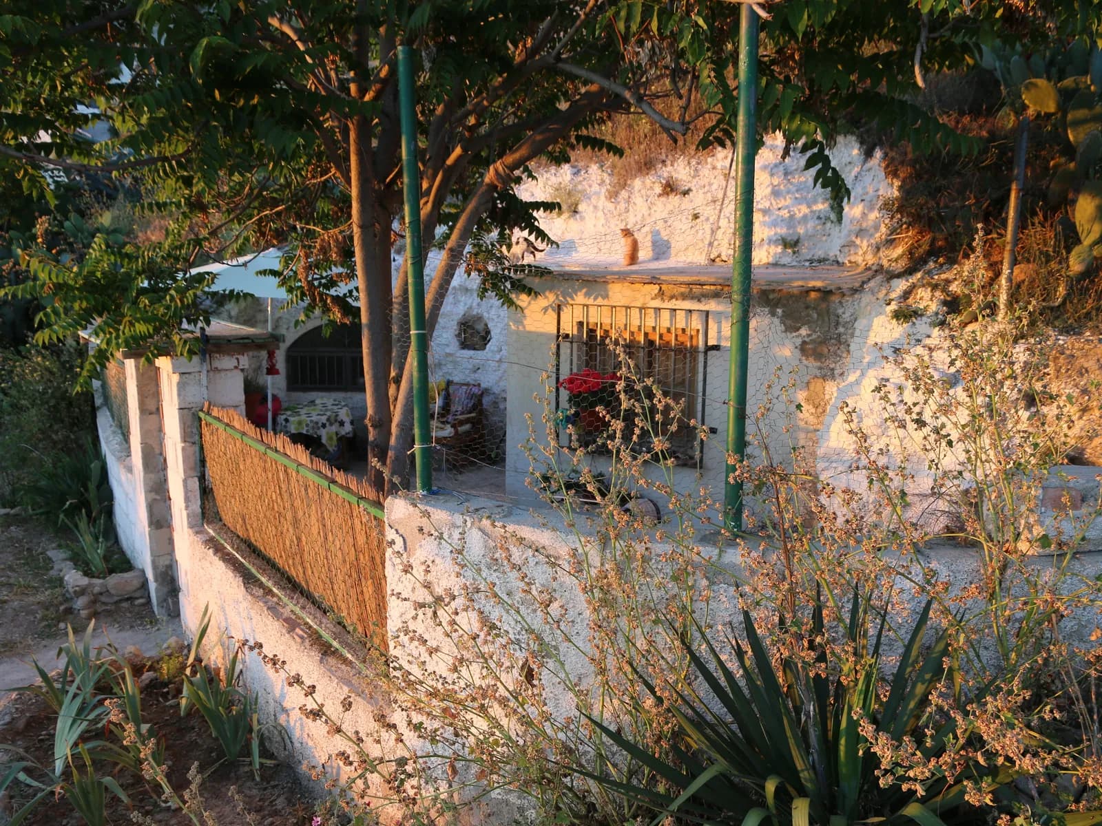 Cave houses on the Sacromonte hillside