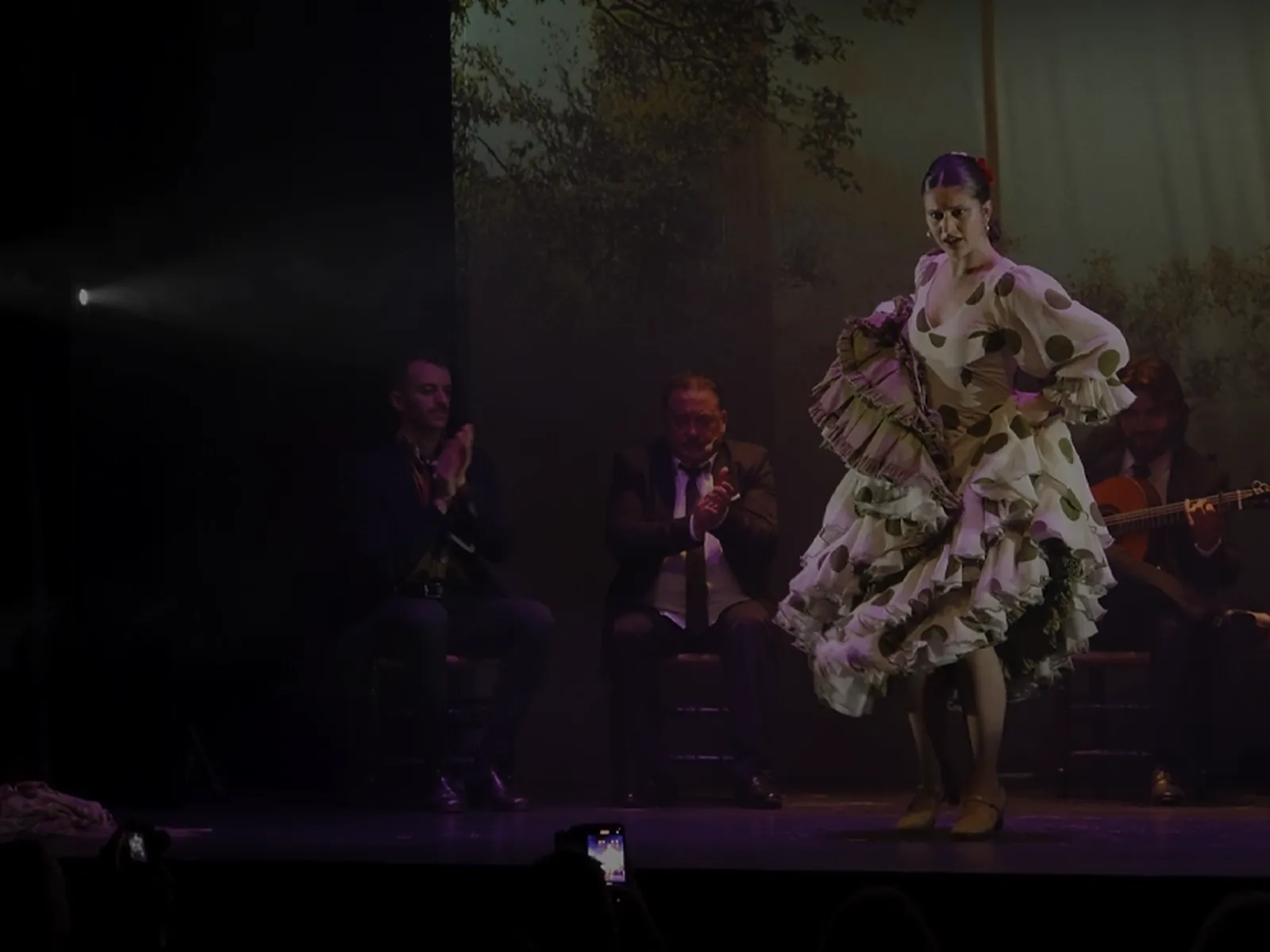 Bailaora con bata de cola en el Teatro Flamenco Granada