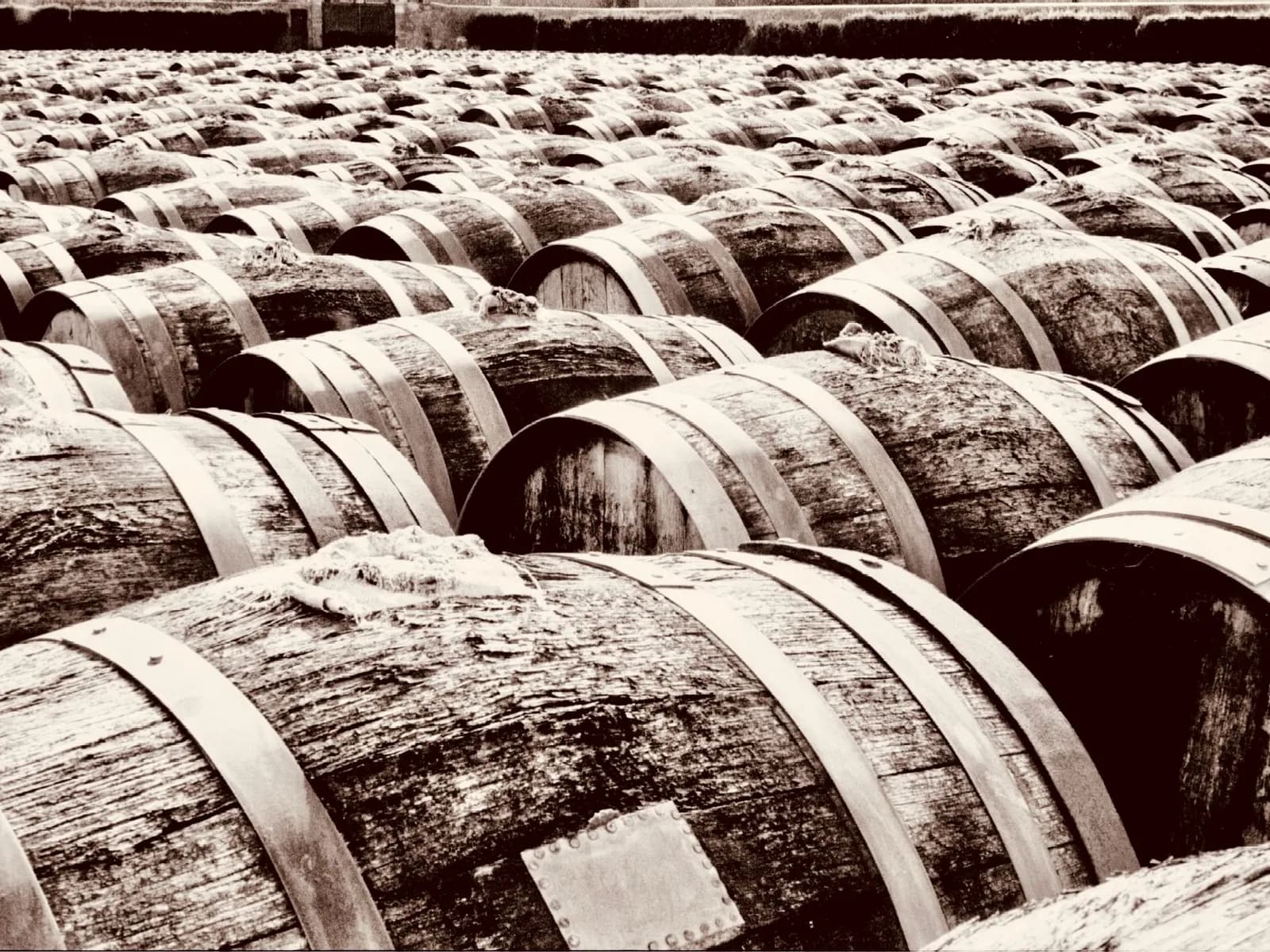 Botas de roble apiladas en una bodega