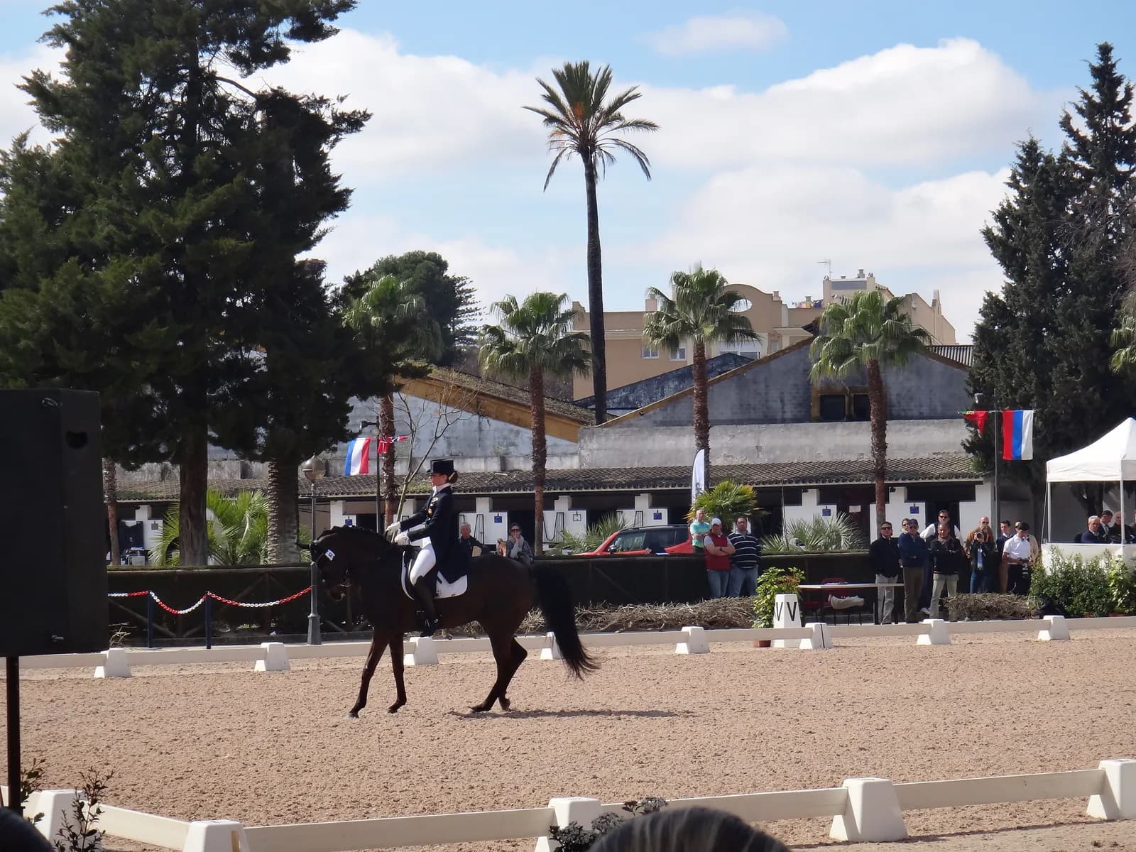 Entrenamiento de doma con caballo y jinete en la pista exterior de la Real Escuela de Jerez