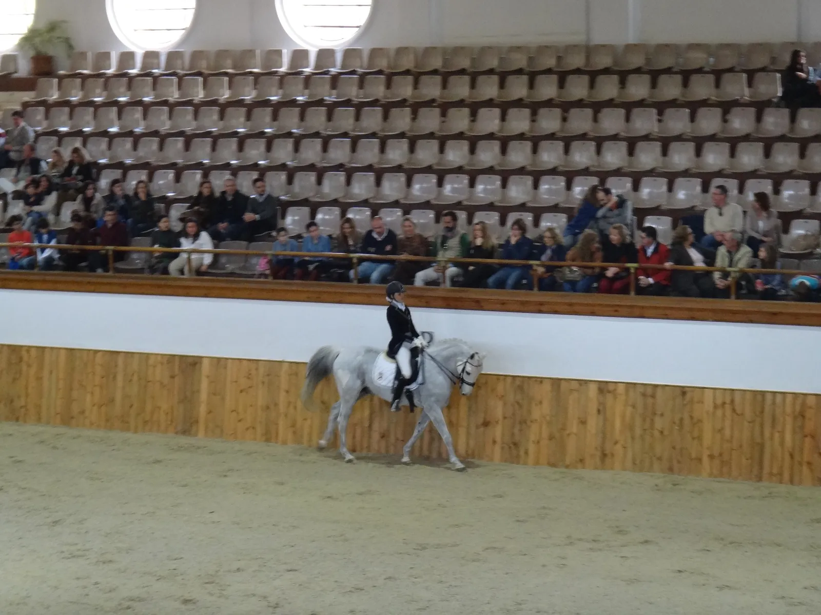 Jinete con caballo tordo en el picadero de la Real Escuela ante el público