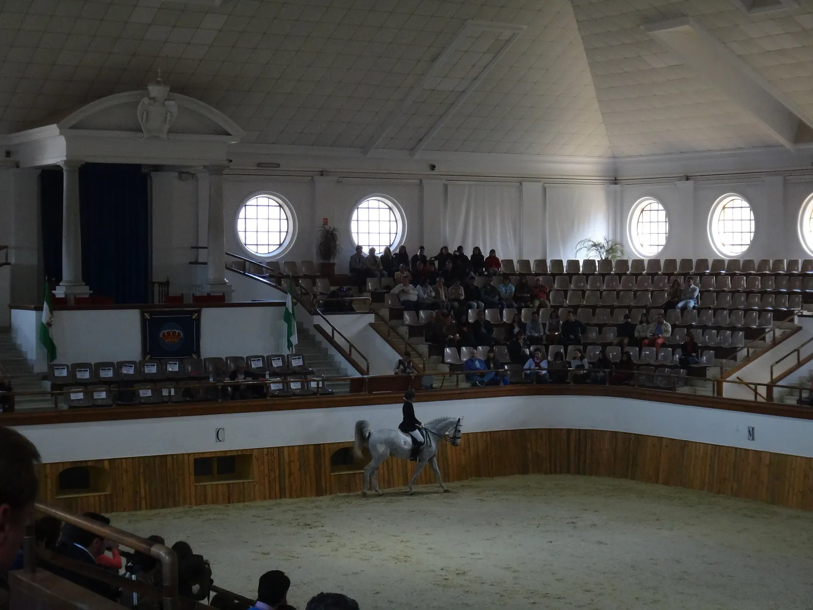 Horse and rider in the Royal School arena with spectators in the stands