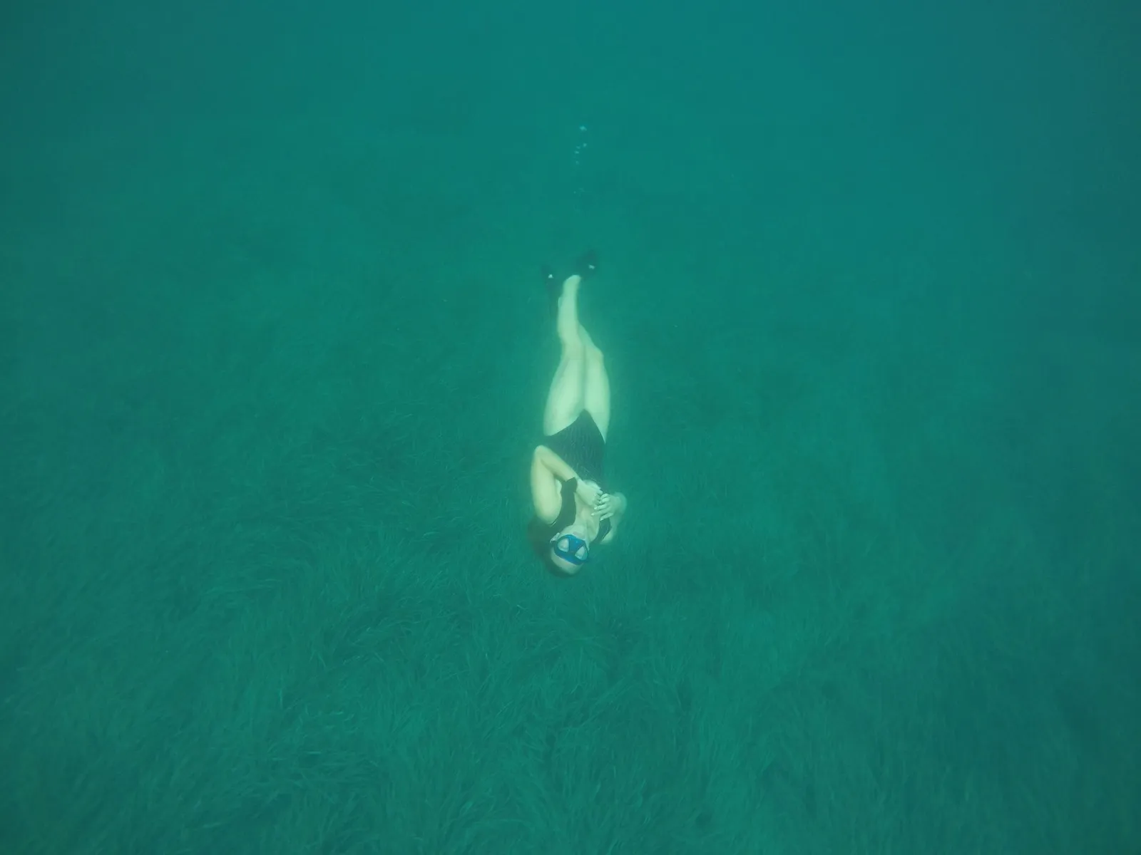 Person snorkelling seen from above