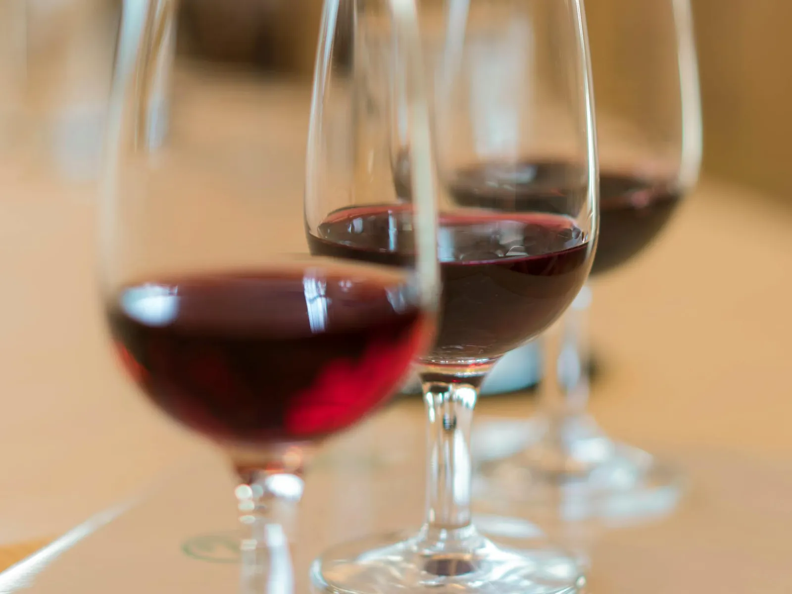 Barricas de vino en una bodega