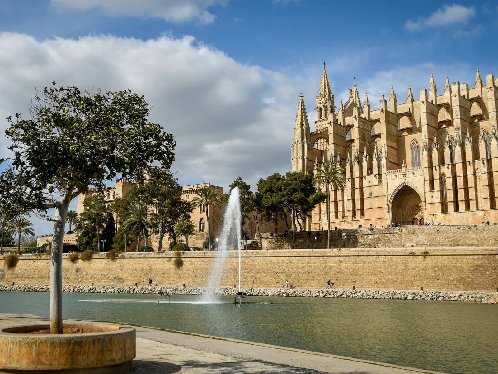 Almudaina and Palma Cathedral by the Parc de la Mar pool