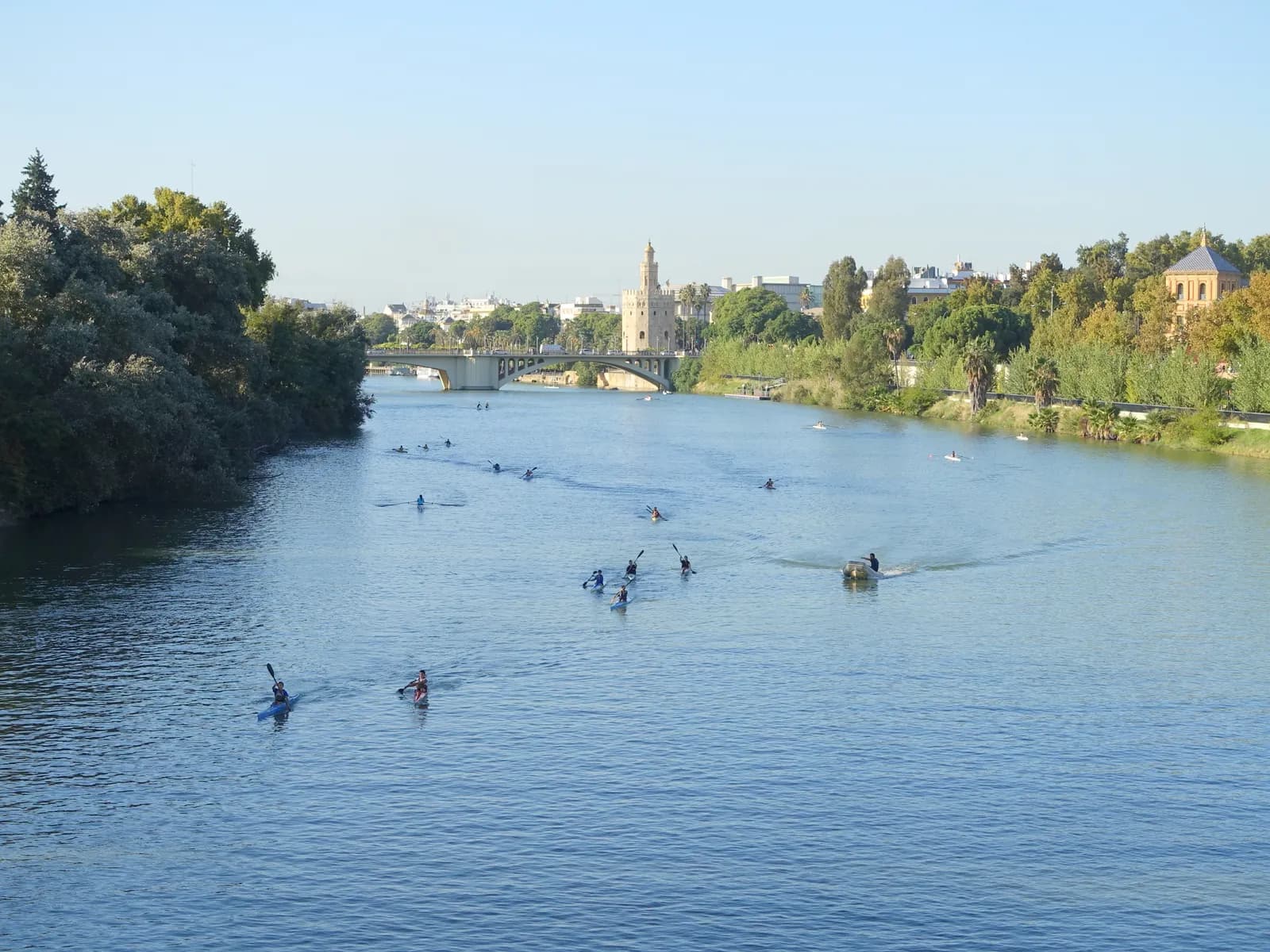 Kayaks en el Guadalquivir a su paso por Sevilla
