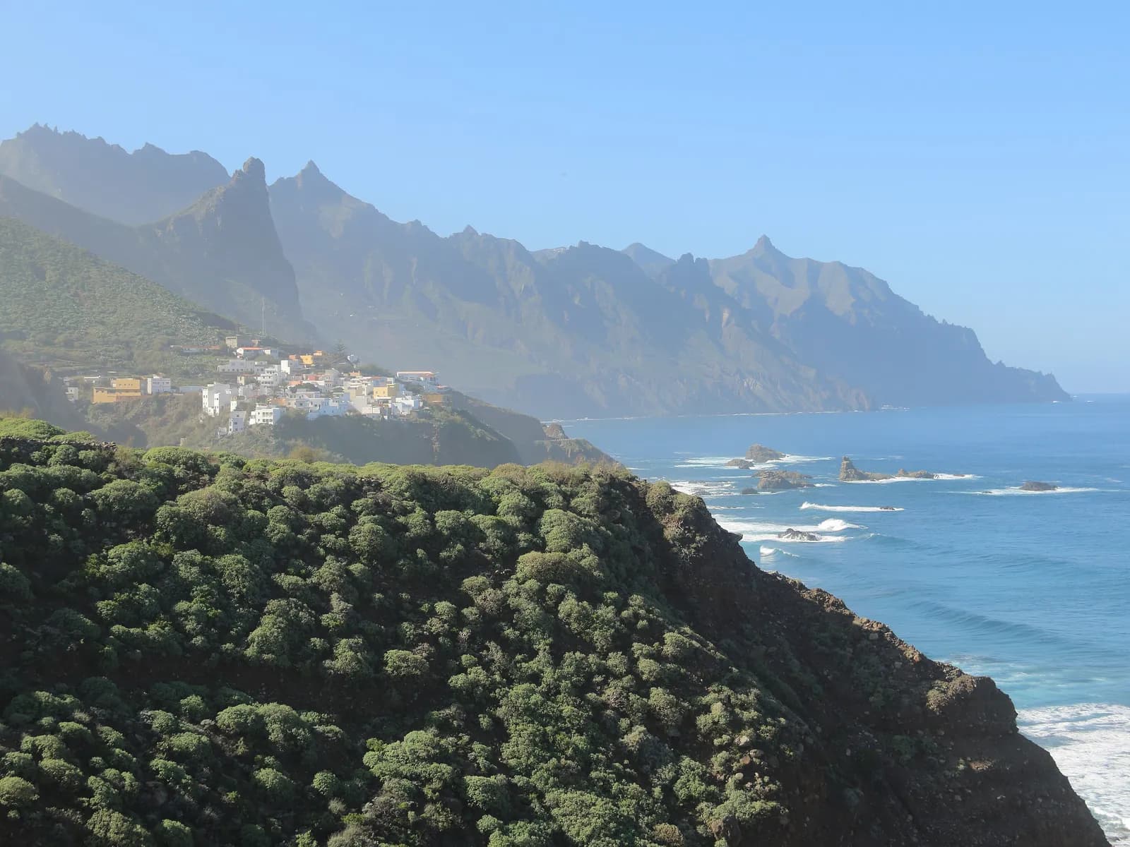 Mountains covered in laurel forest in Anaga