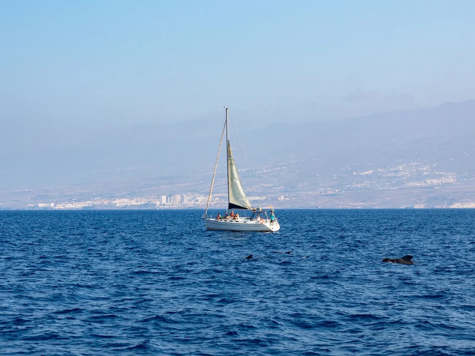 A catamaran sailing off the coast of Tenerife
