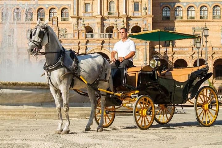 Coche de caballos con cochero en una plaza de Sevilla