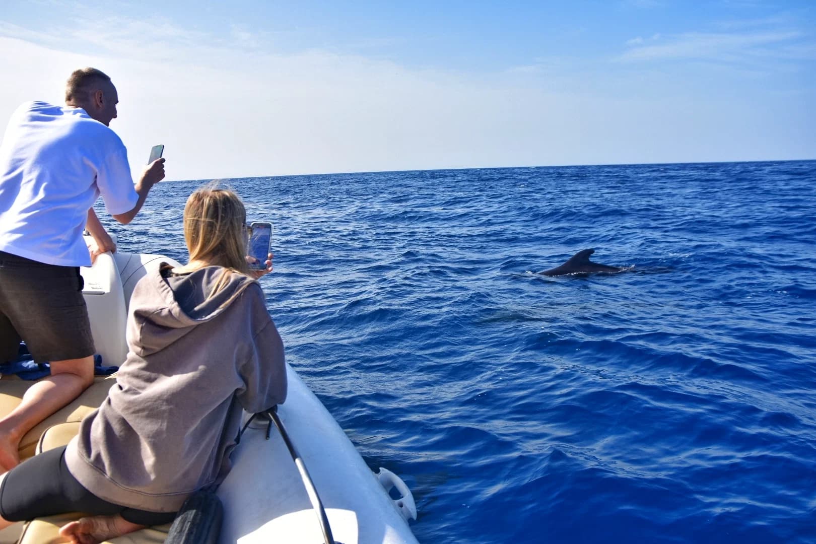 Passengers photographing a pilot whale from the bow of the private boat