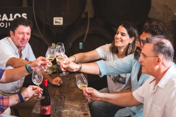 Grupo brindando con vino en una mesa de la bodega