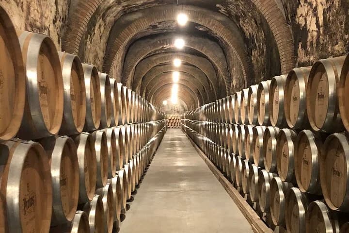 Vaulted ageing cellar with barrels in Ribera del Duero